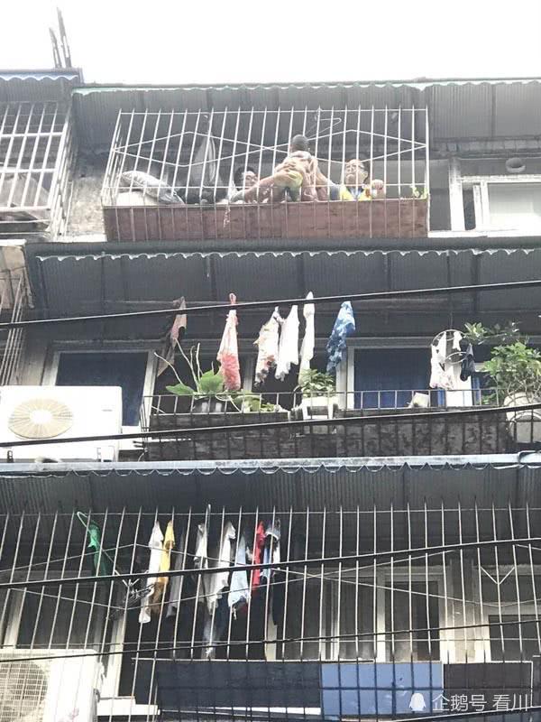 男童从8楼坠落“挂”7楼护栏外 邻居将其一把抓住