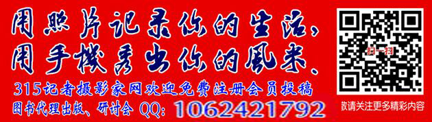 社会资本下乡，建企业还是建村庄？