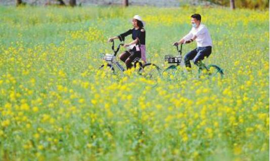 川人游川景区游客回流明显