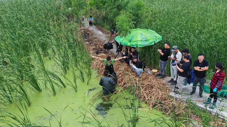 央视《大运河》系列节目：以鲜活表达具象国家文化符号