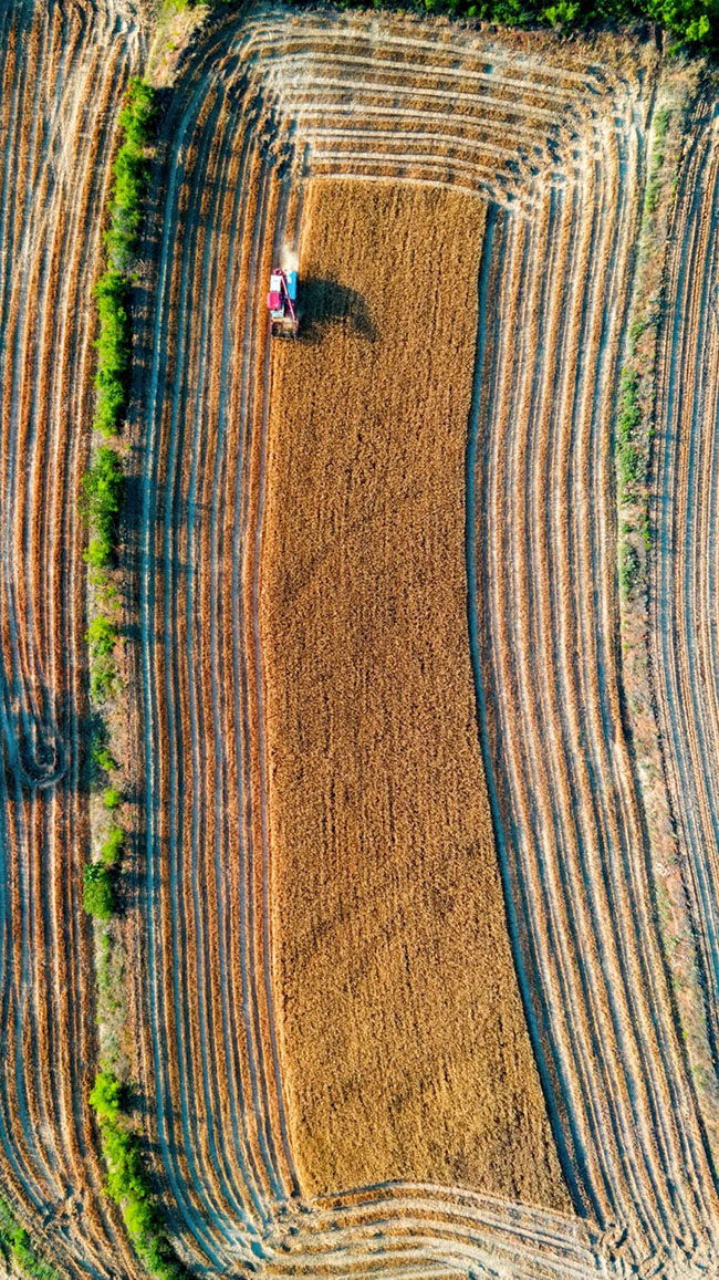 什么是中国夏天最美的景色？