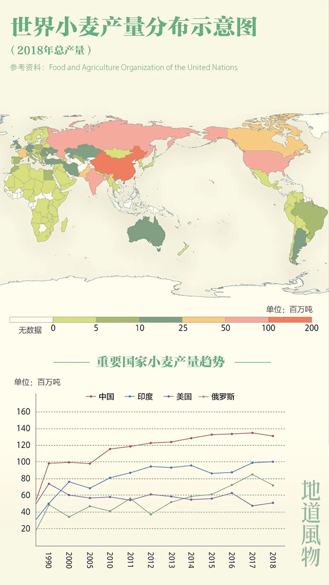 什么是中国夏天最美的景色？