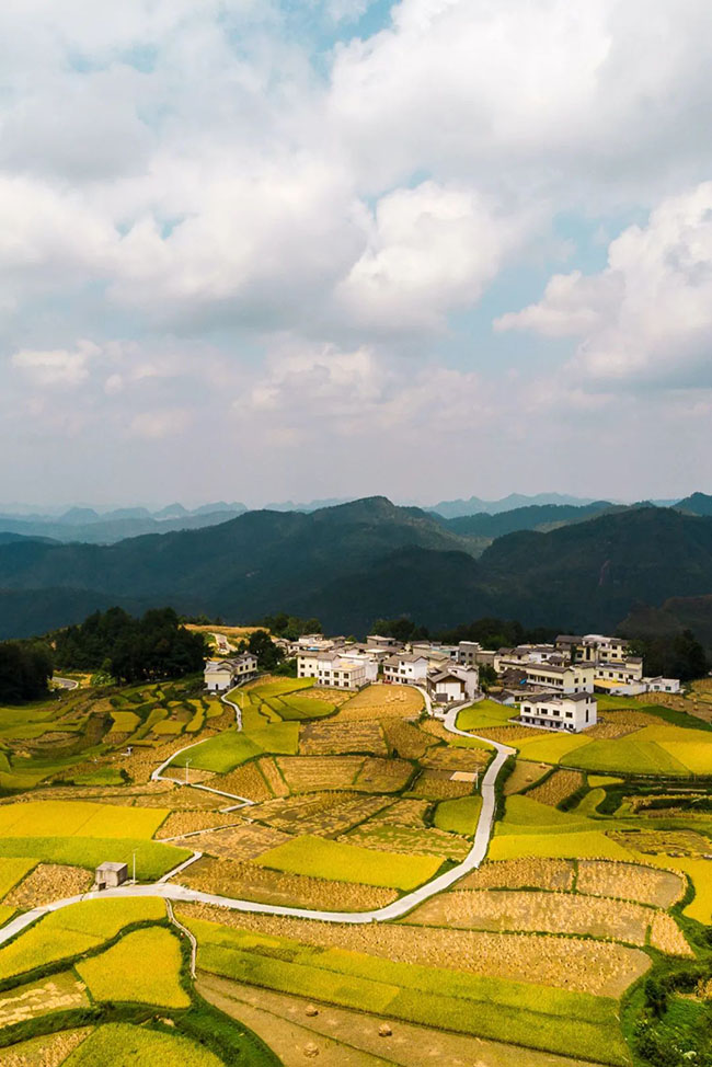 什么是中国夏天最美的景色？