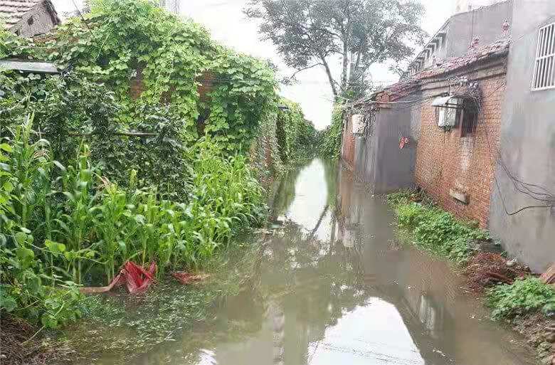 暴雨过后的夏邑农村