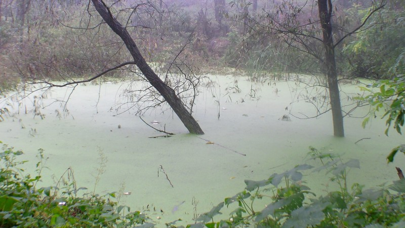 秋汛形势严峻复杂 水利部6个工作组赴河南陕西等地协助应对