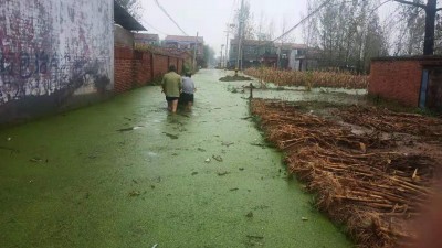 暴雨下的故乡