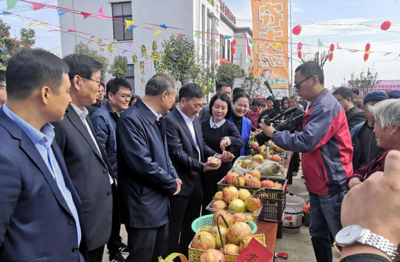 河南省商丘市睢阳区临河店乡：打造特色产业“专业村”，跑出乡村振兴“加速度”