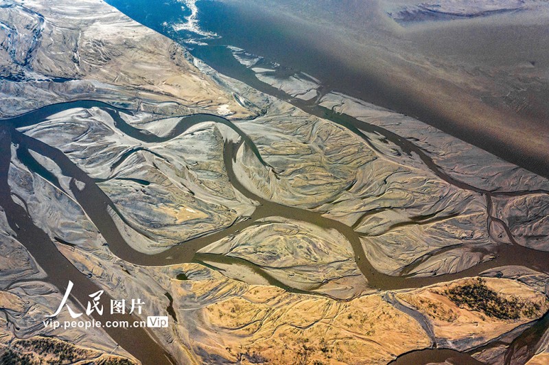 黄河水位下降 河床露出线条形态各异蔚为壮观