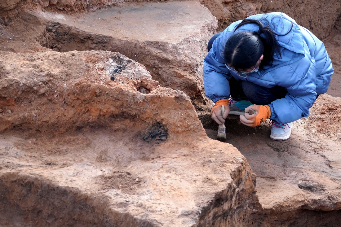 河南苏羊遗址发现距今5000年前后多元文化交流重要实证
