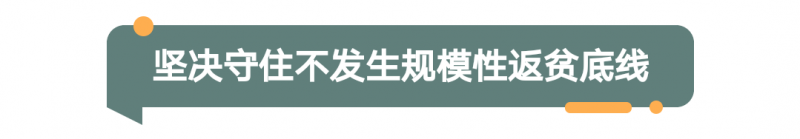 2022年河南省委一号文件发布！