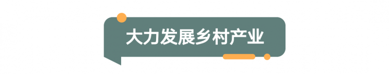 2022年河南省委一号文件发布！