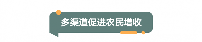 2022年河南省委一号文件发布！