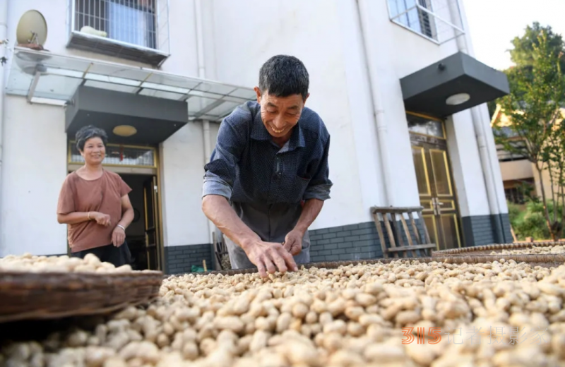 习近平的人民情怀