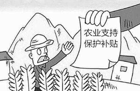 黑龙江泰来县汤池镇长达20年套取国家种粮补贴近千万元