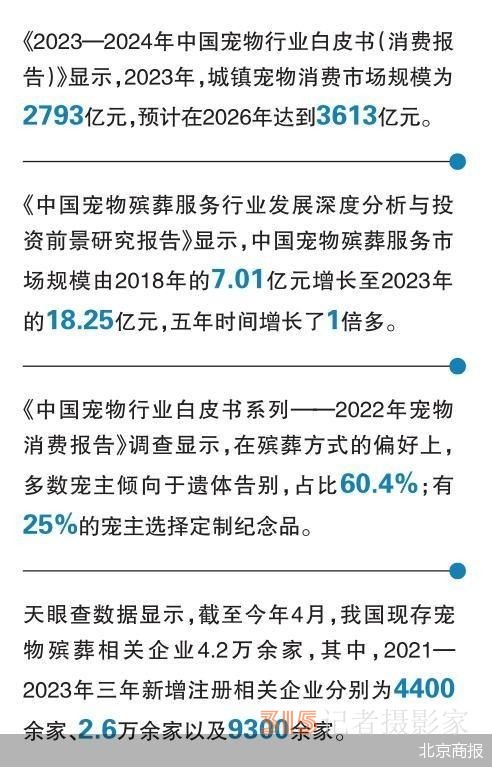 葬礼超8000元 宠物殡葬的生意经