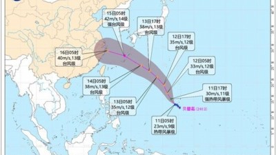 今年第13号台风“贝碧嘉”已生成 未来趋向我国东海海面