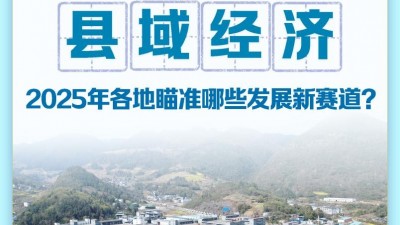 县域经济，2025年各地瞄准哪些发展新赛道？